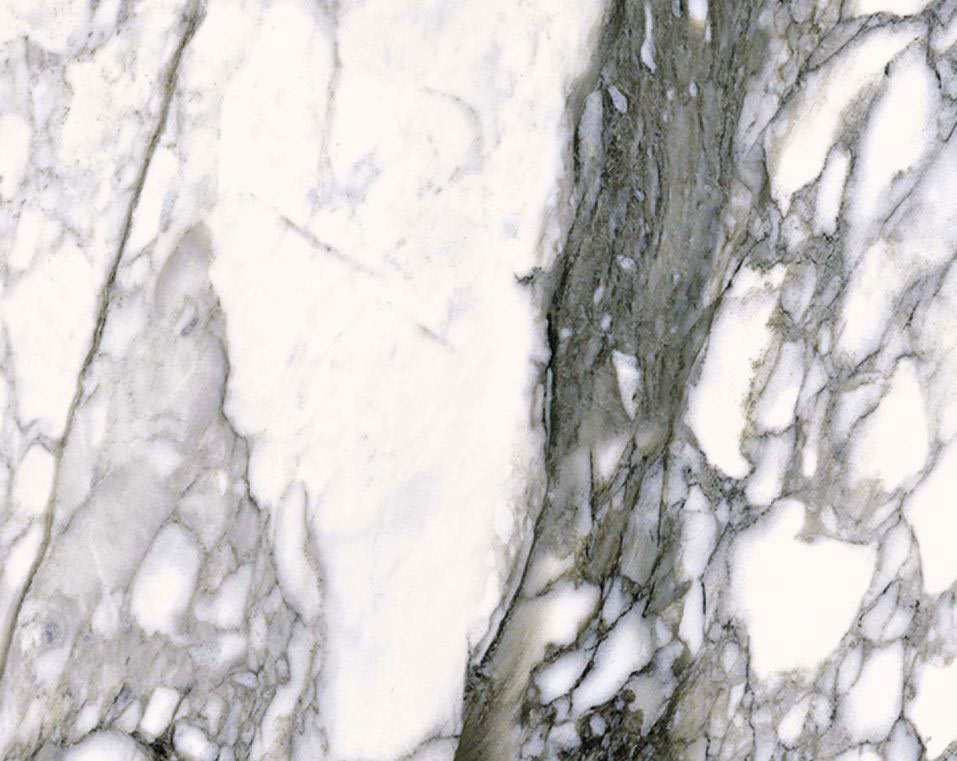 Roberto Cavalli The Wild Spirit Calacatta Noir falicsempe és padlólap 119,2x119,2 cm