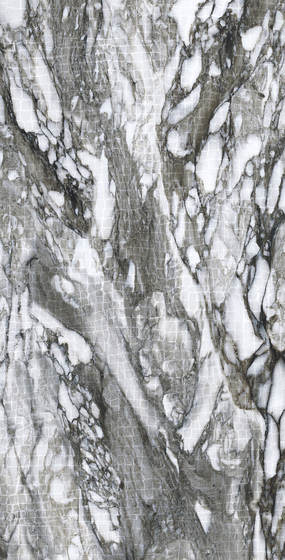 Roberto Cavalli Lush Calacatta Renoir dekorcsempe 59,6x119,2 cm