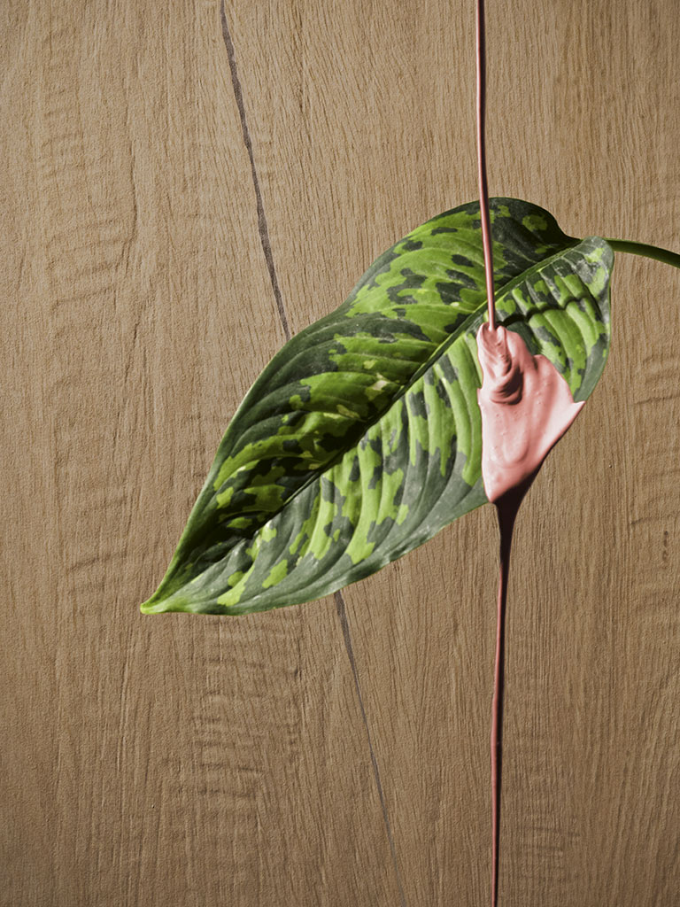 Serenissima I Lecci Falburkolat | Csempék és Járólapok