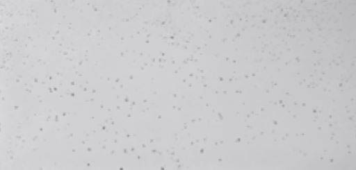 Stegu Stockholm 1 betonhatású burkolat