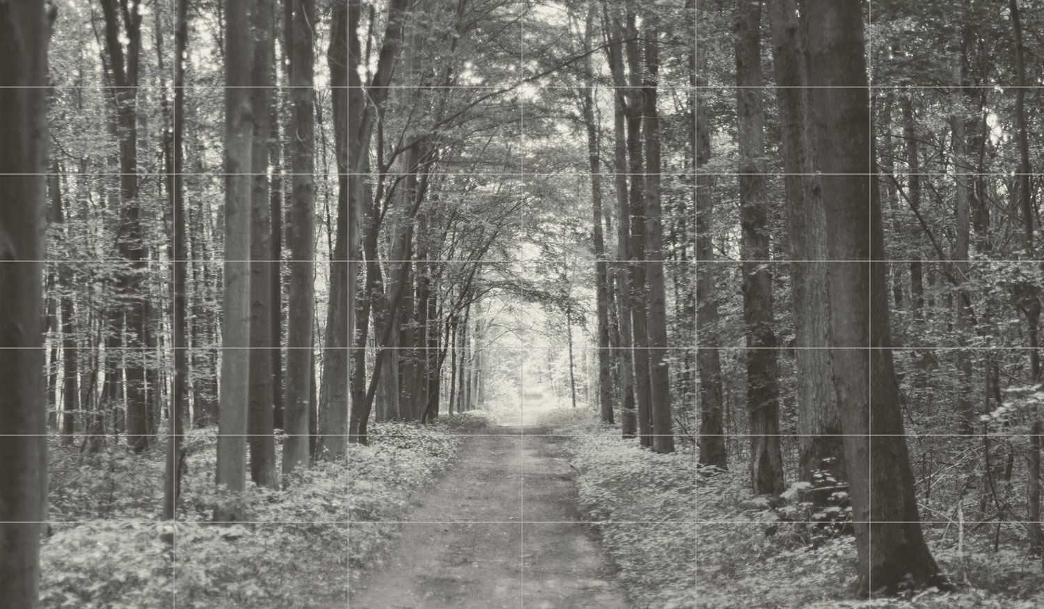 Tubadzin dekorkép Tubadzin All in white 1 dekorkép