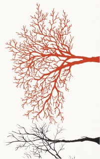 Kwadro Veo Bianco C dekorcsempe