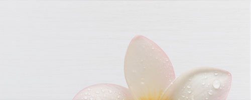 Zalakerámia dekorcsempe Zalakerámia Kendo SPA F-53021 dekorcsempe