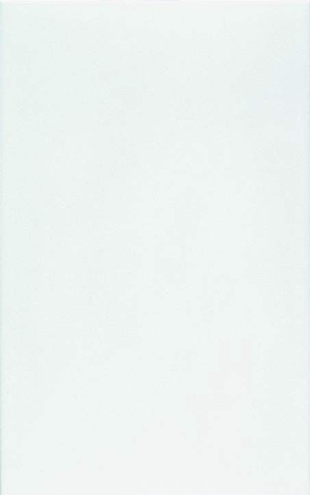 Zalakerámia Carneval ZBK-601 falicsempe 25x40 cm