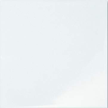 Zalakerámia Carneval ZBR 501 falicsempe 20x20 cm