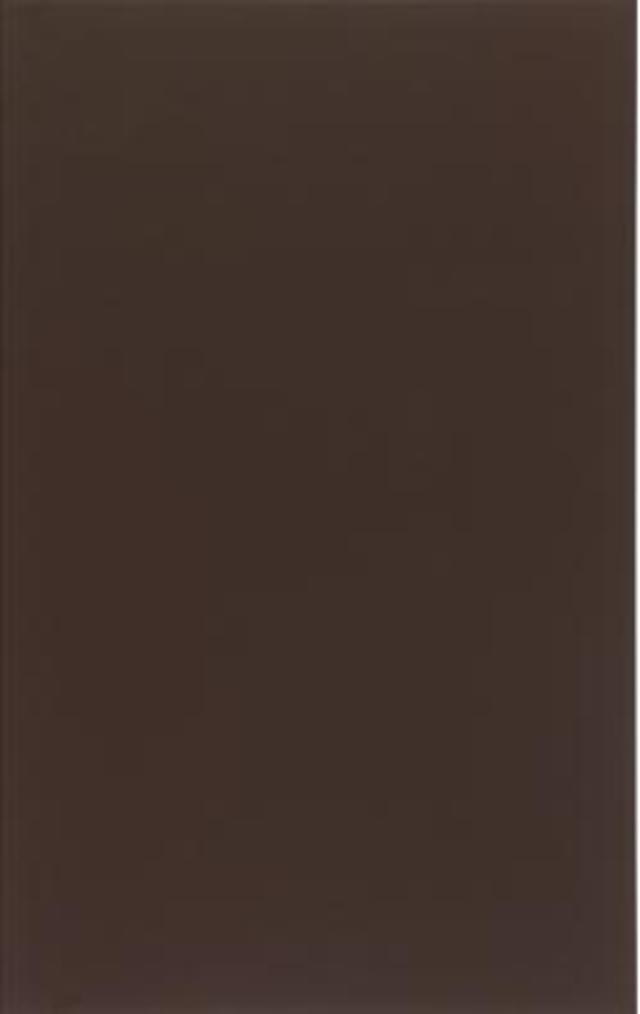 Zalakerámia Vario ZBK-673 falicsempe 25x40 cm