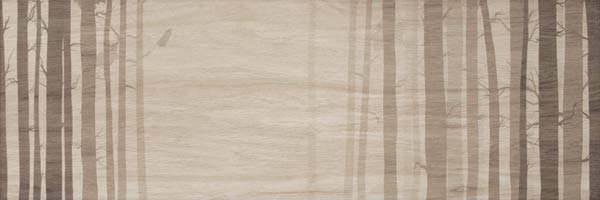 Zalakerámia Amazonas F-62004 szett dekorcsempe