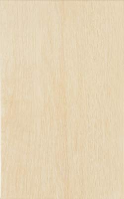 Zalakerámia Legno ZBD-42035 falicsempe